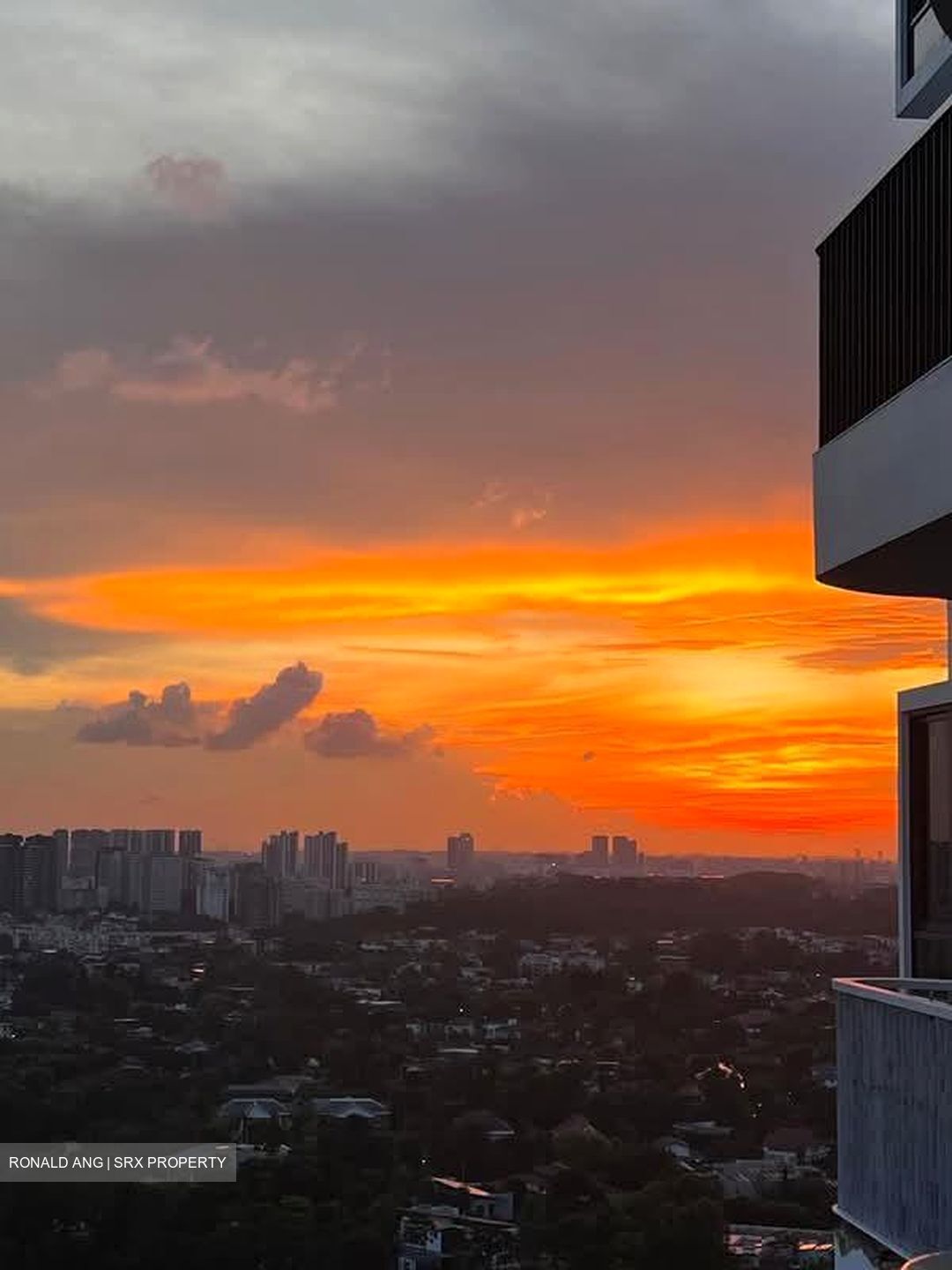 D'Leedon (D10), Condominium #533057271